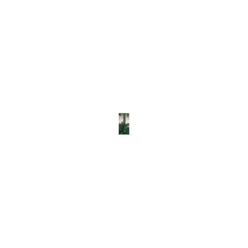LHC- 8580-210 2.jpg