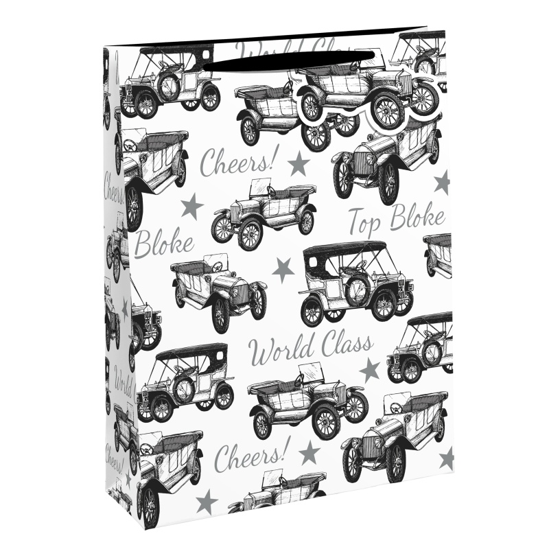 Pudeli kinkekott VANAD AUTOD 12/48