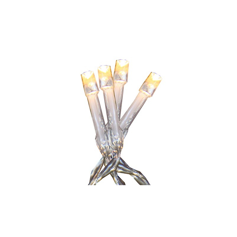 EOL Valguskett 20 LED, 1,9m valge, tulede vahe 10cm, patareitoide (2xAA, mitte kaasas), IP20