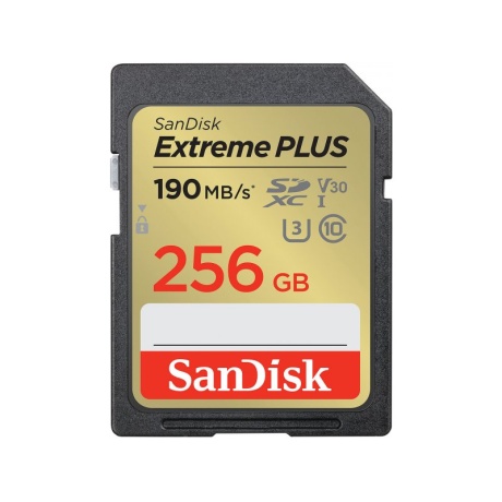 Mälukaart SD Extreme Plus 256GB 190/130 MB/s Class10 / V30 / UHS-I / U3