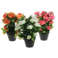 Pot rose white, pink, orange 15x15x36cm