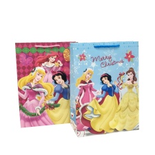 L gift bag DISNEY PRINCESS 12/72