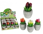 Candle tulips 6x11cm